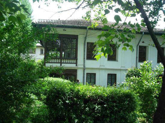 Theodor Pallady Museum